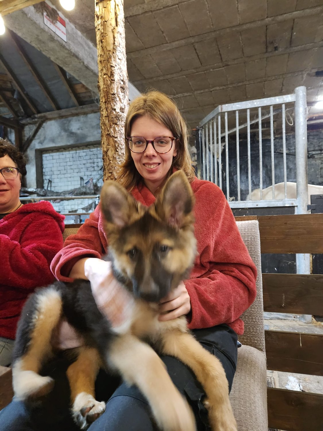 Een gezellig moment met een hond